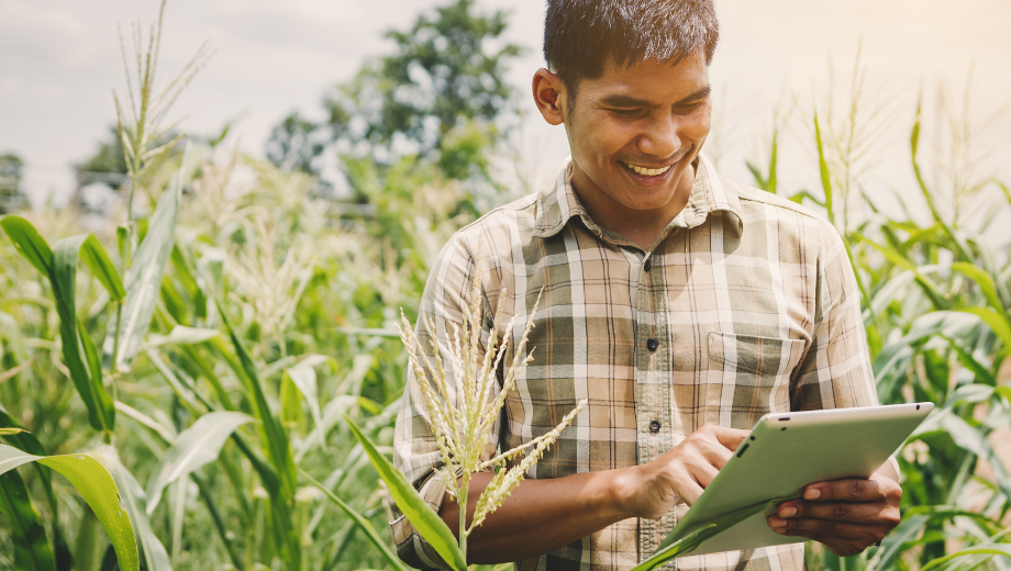 为什么 FDA 的“食品安全新时代蓝图”是食品行业通向未来的路线图