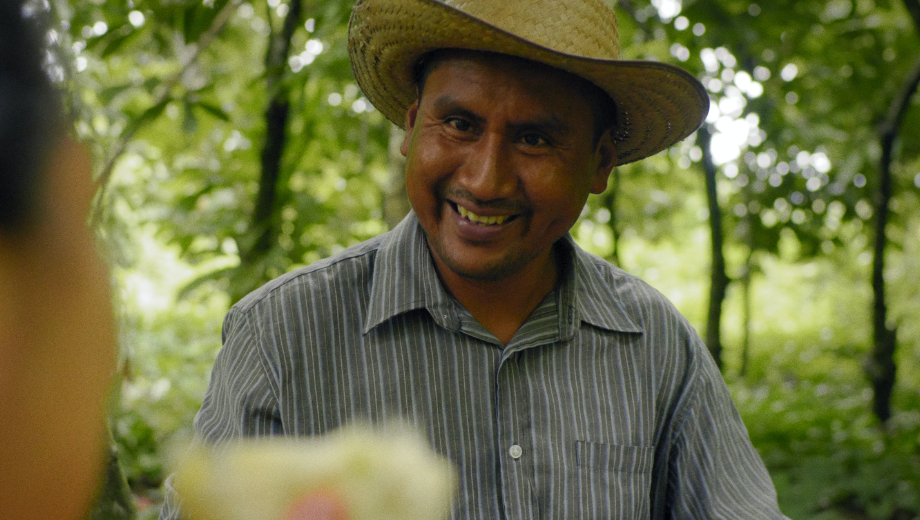 《供应链的写照》— 为什么透明度对我们所有人非常重要