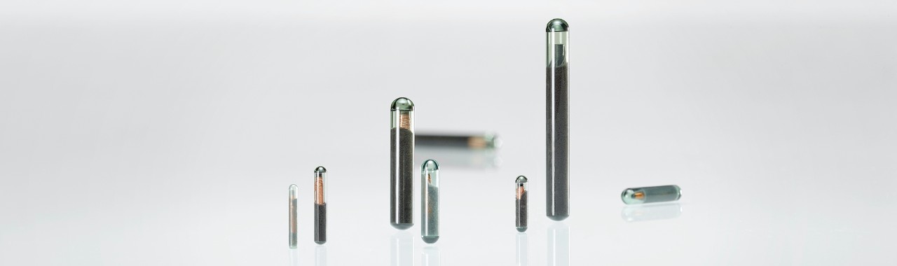 LF Hard Tag: Glass Tag Animal ID